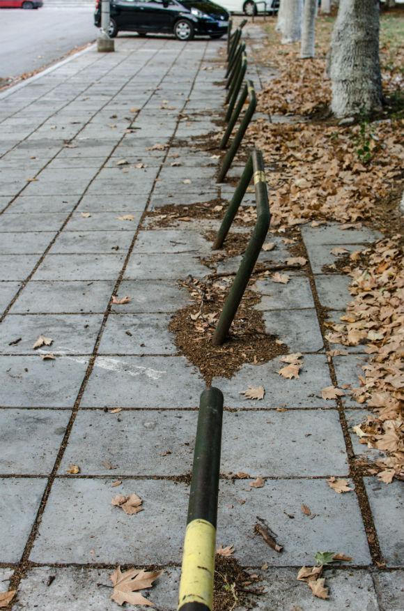 olg_0294.jpg olg_0294.jpg