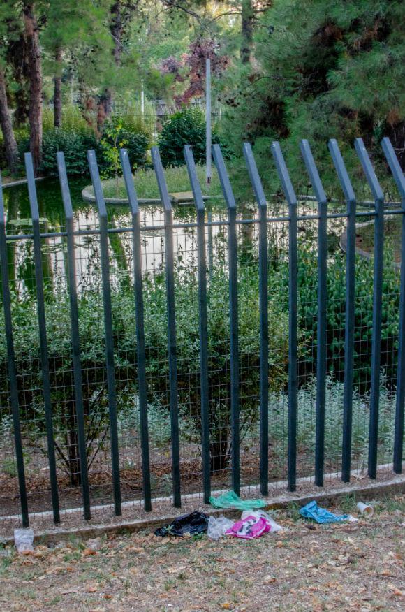 olg_0302.jpg olg_0302.jpg