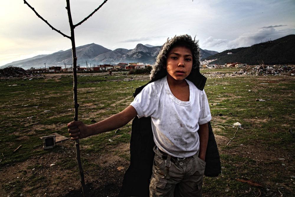 pegasus_LARGE_t_1581_106832452