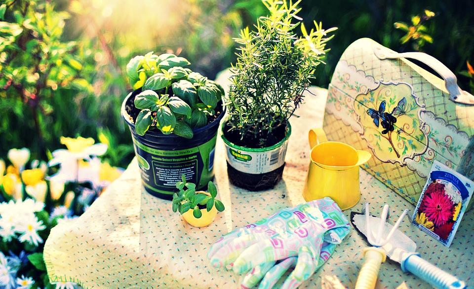 planting-780736_960_720