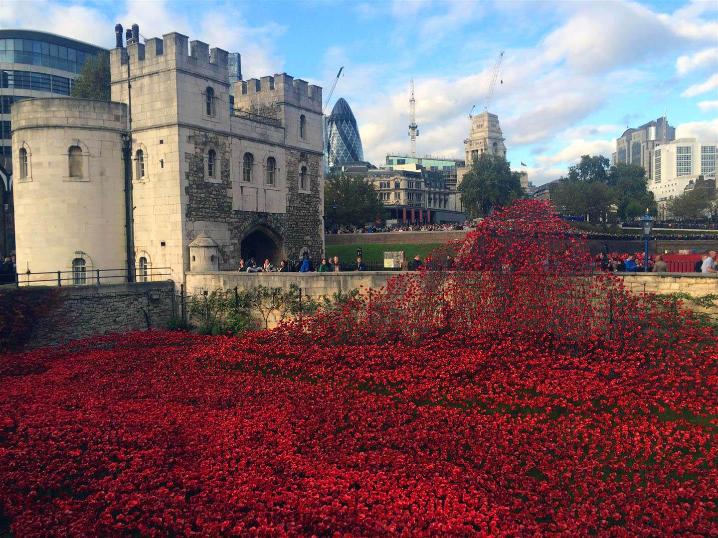 poppies-tower-of-london