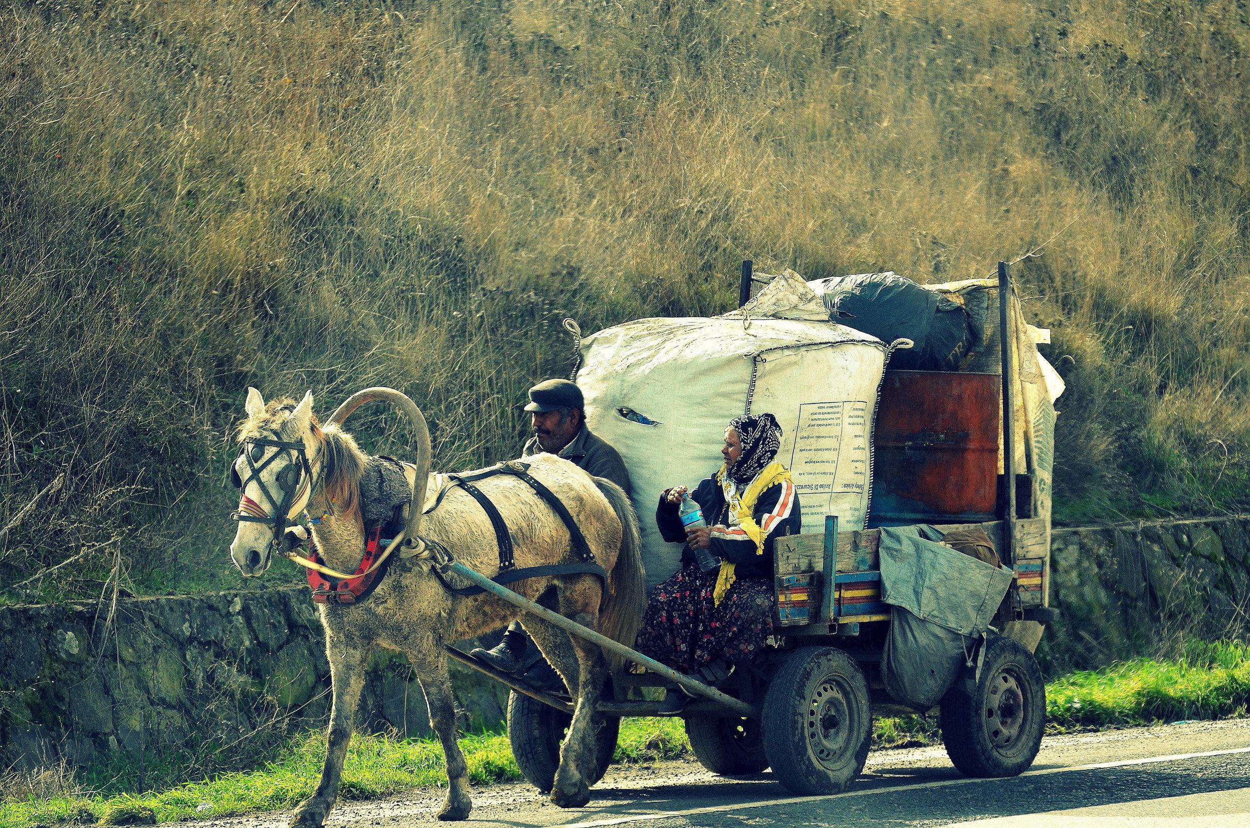 rsz_olg_0219.jpg rsz_olg_0219.jpg