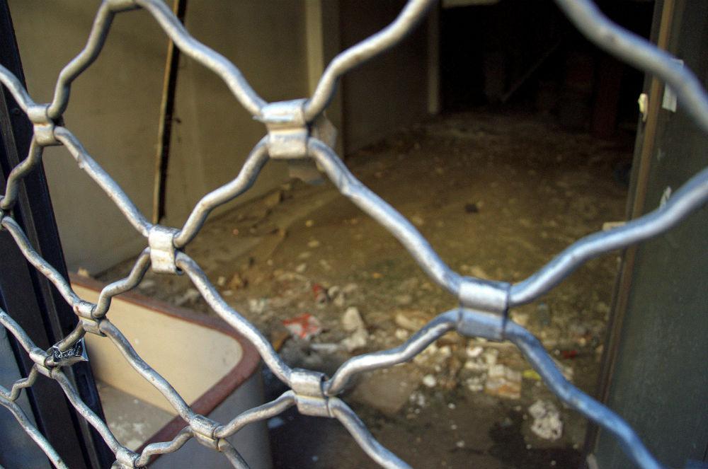 rsz_olg_6404nef.jpg rsz_olg_6404nef.jpg