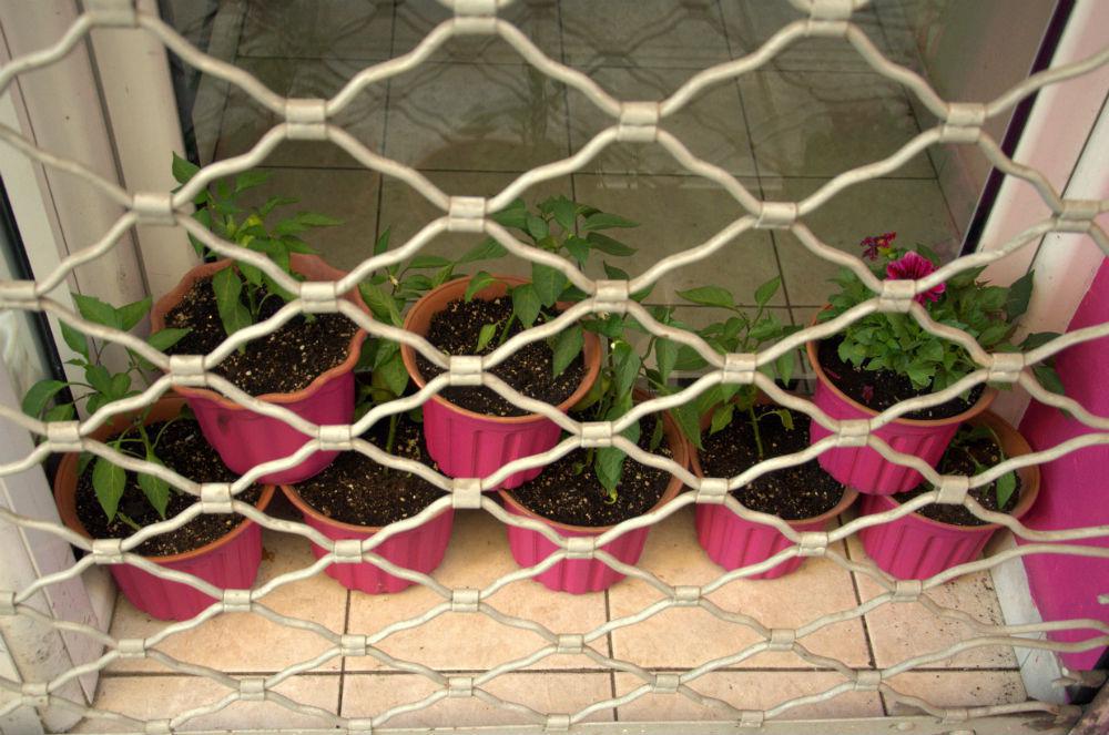 rsz_olg_6419nef.jpg rsz_olg_6419nef.jpg