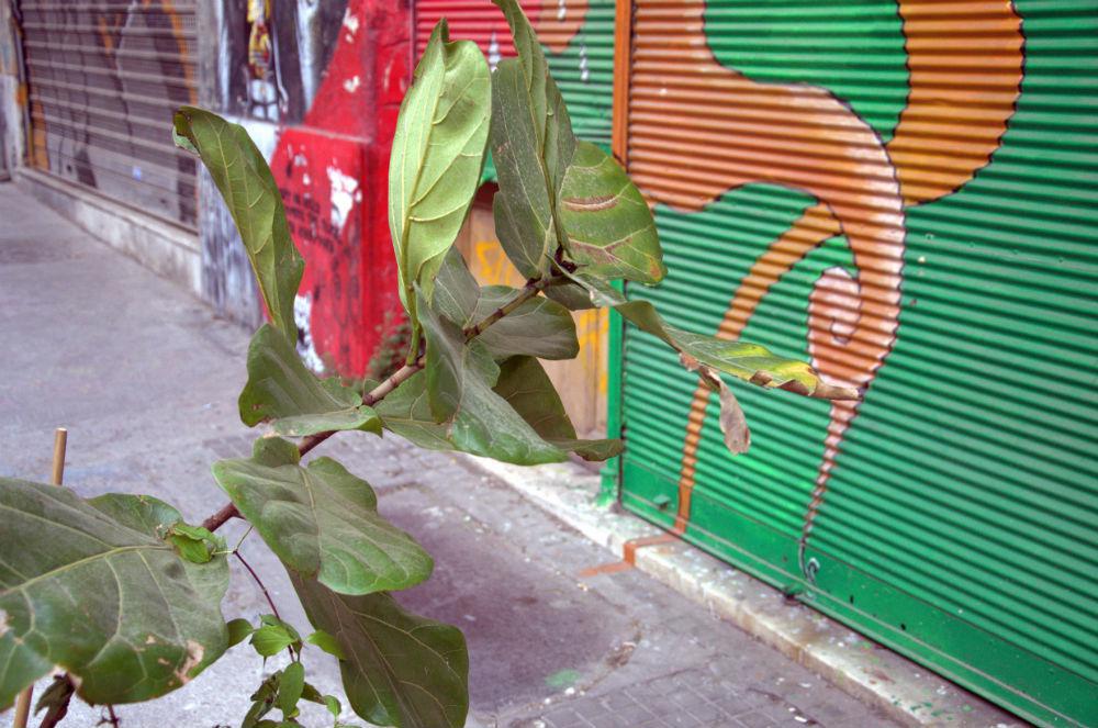 rsz_olg_6428nef.jpg rsz_olg_6428nef.jpg