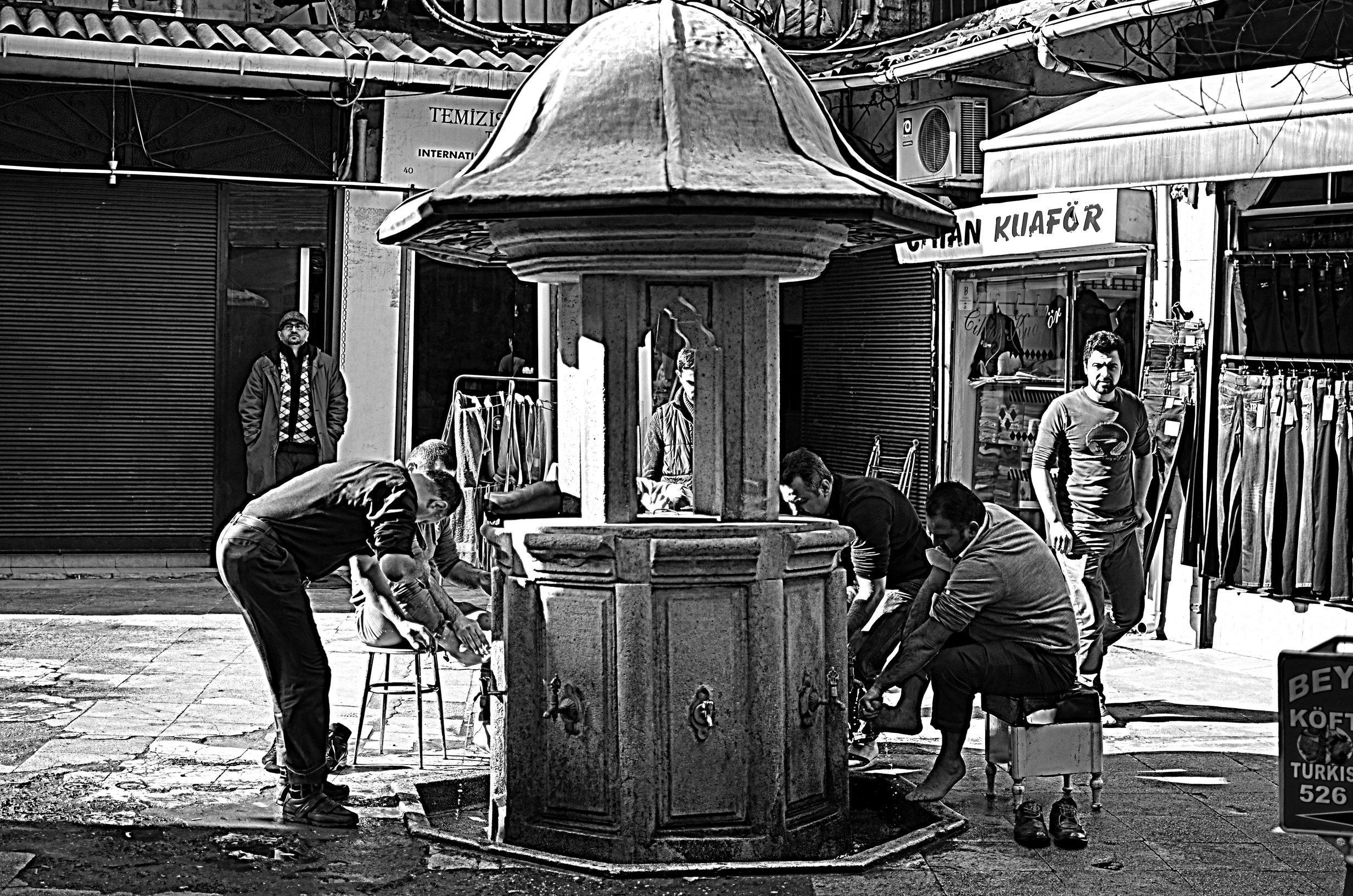 rsz_olg_9155.jpg rsz_olg_9155.jpg