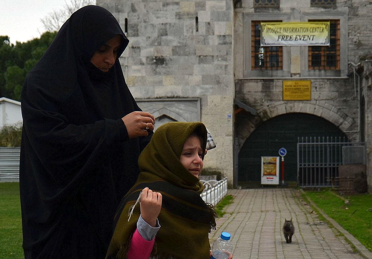 rsz_olg_9615.jpg rsz_olg_9615.jpg