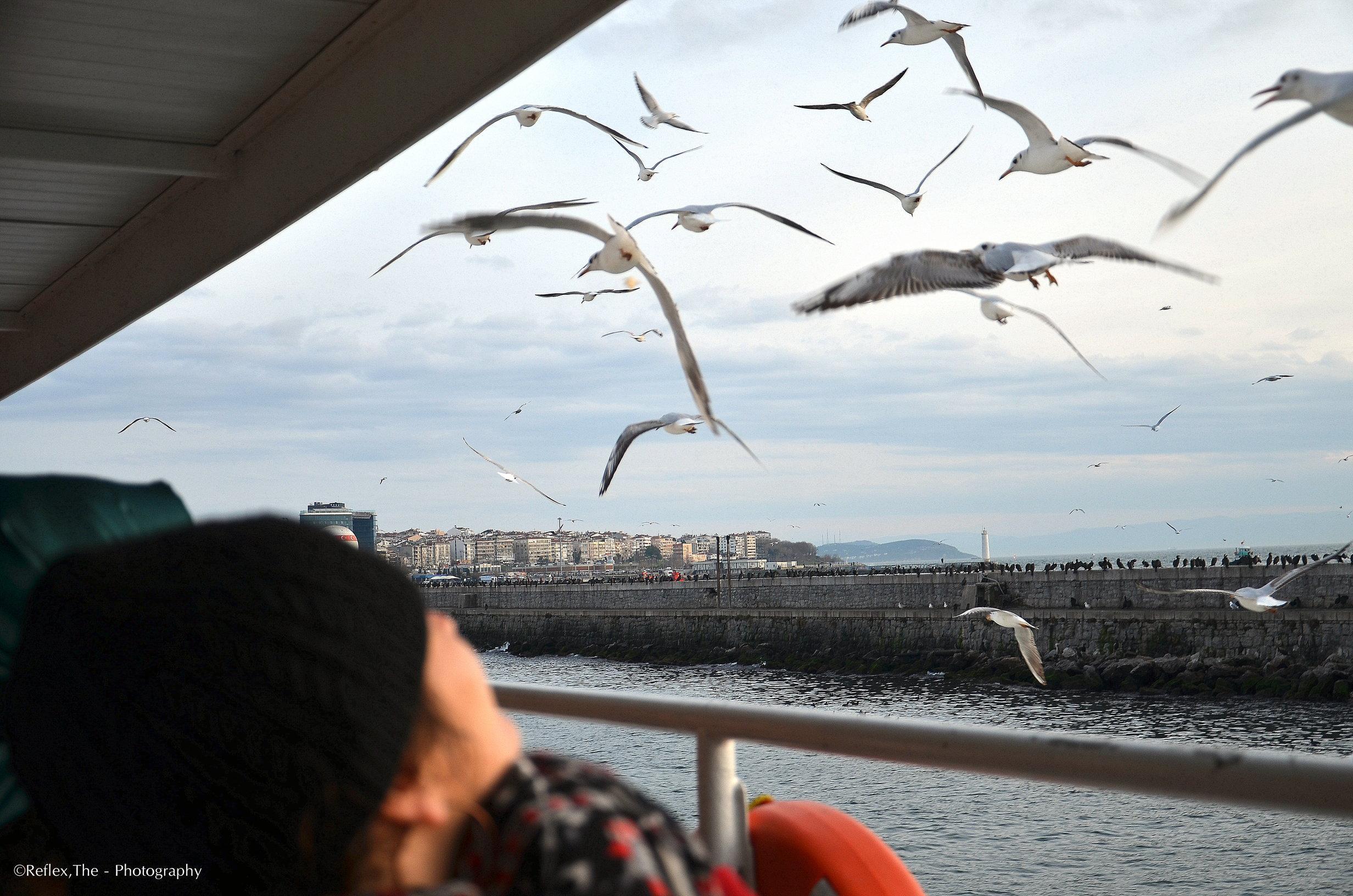 rsz_olg_9860.jpg rsz_olg_9860.jpg