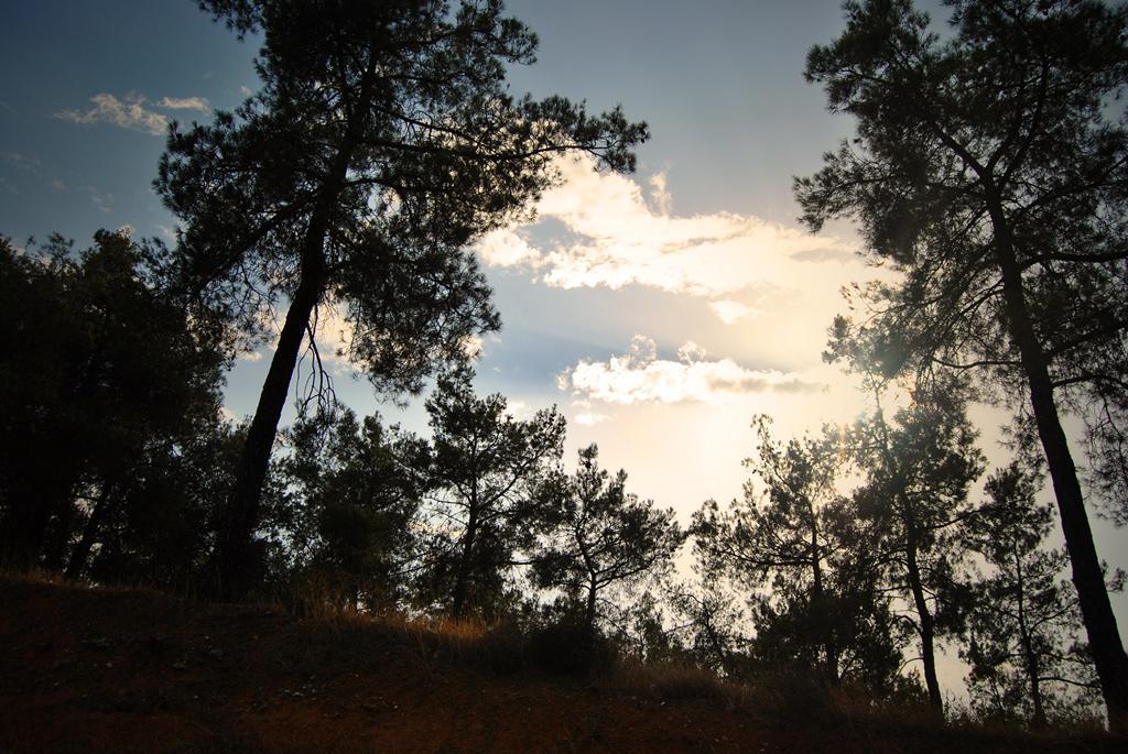 εικόνες-μιας-όμορφης-πόλης-σέιχ-σου-24424