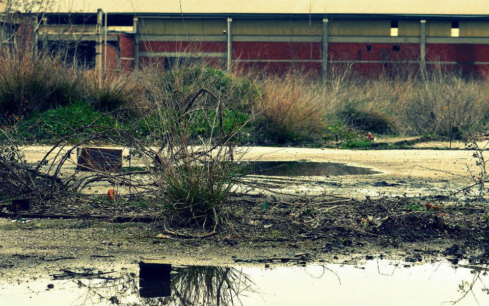 sindos_11.jpg sindos_11.jpg