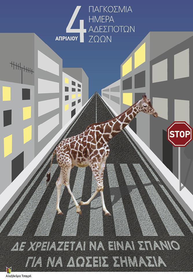 strayposterprint-lr12.jpg strayposterprint-lr12.jpg