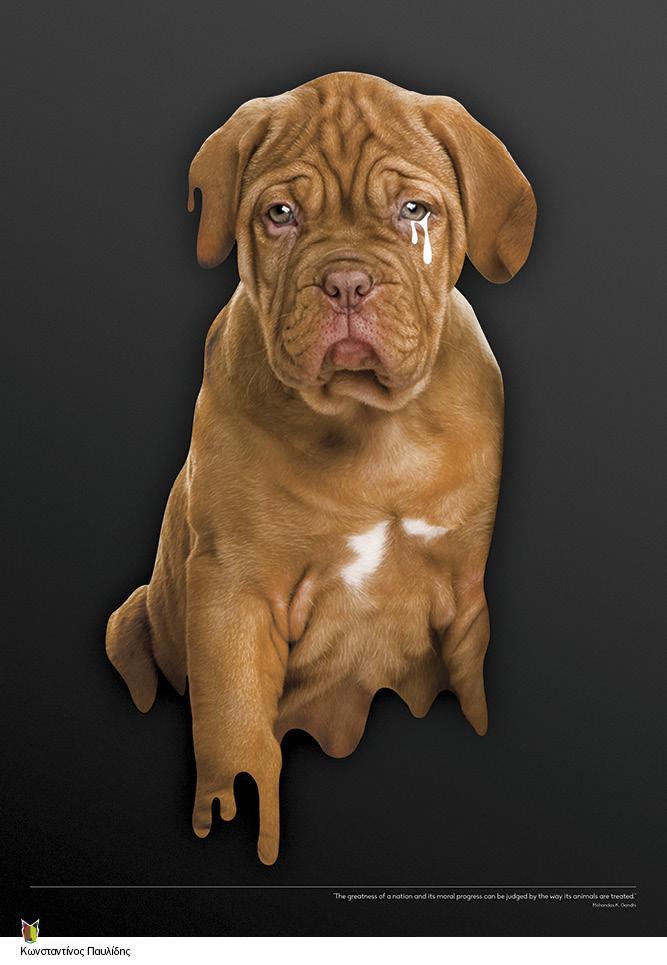 strayposterprint-lr20.jpg strayposterprint-lr20.jpg