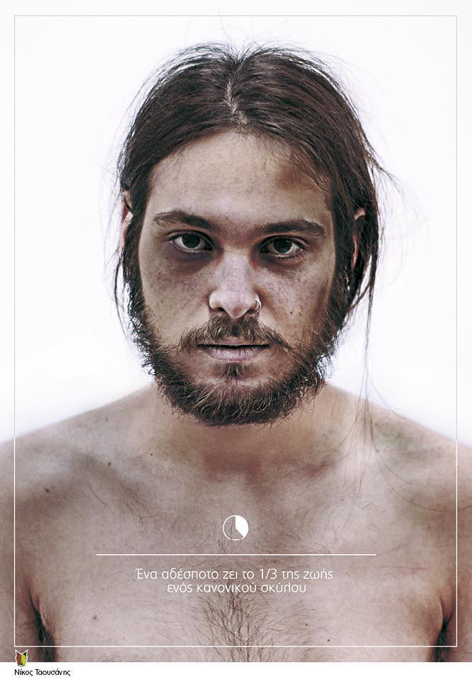 strayposterprint-lr21.jpg strayposterprint-lr21.jpg