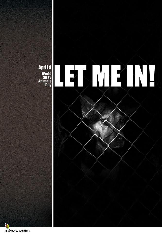 strayposterprint-lr5.jpg strayposterprint-lr5.jpg