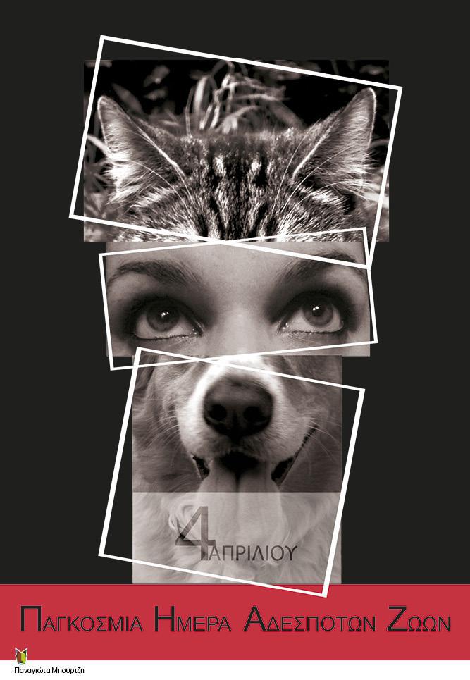 strayposterprint-lr7.jpg strayposterprint-lr7.jpg