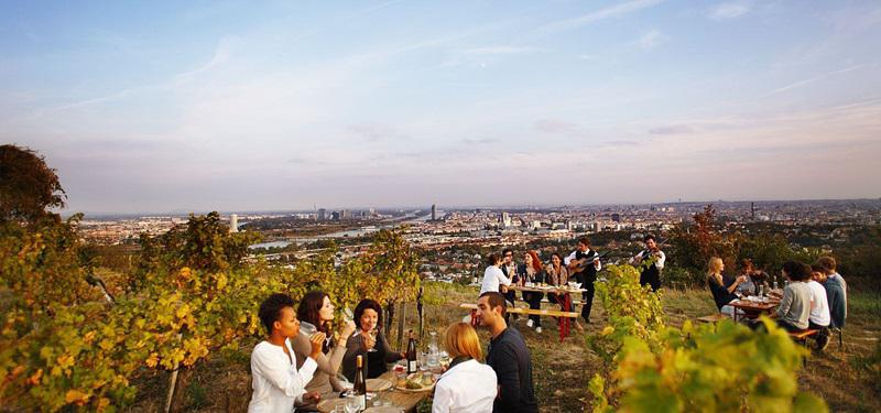 wtv-herbst-weingut-hajszan--peter-rigaud.jpg.2928358